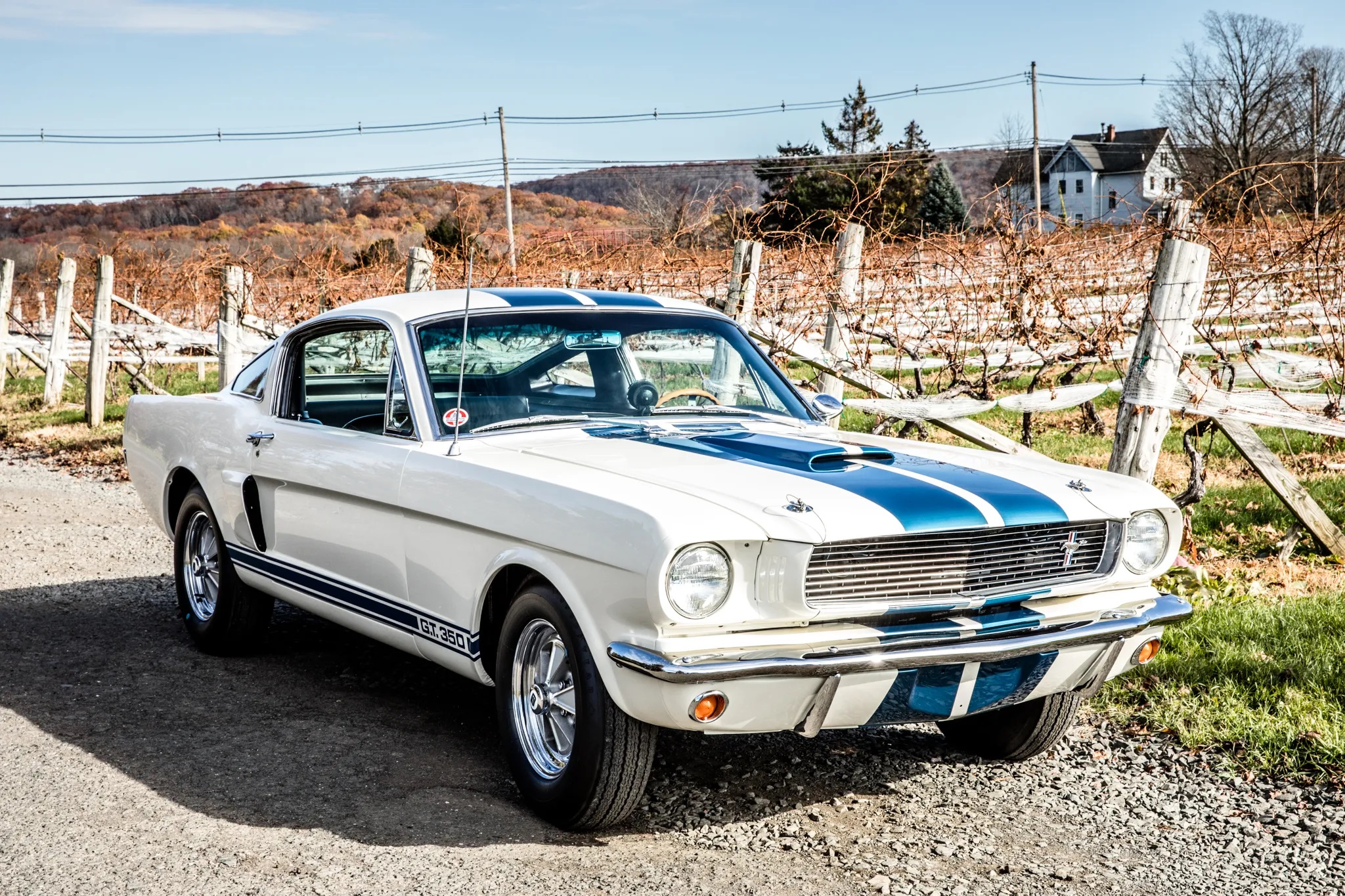 1966 Shelby Mustang GT350