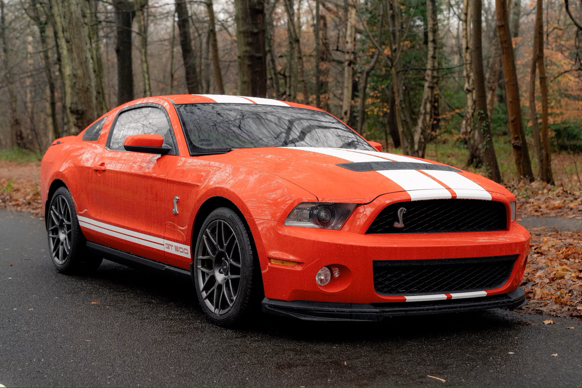 2010 Ford Shelby Mustang GT500