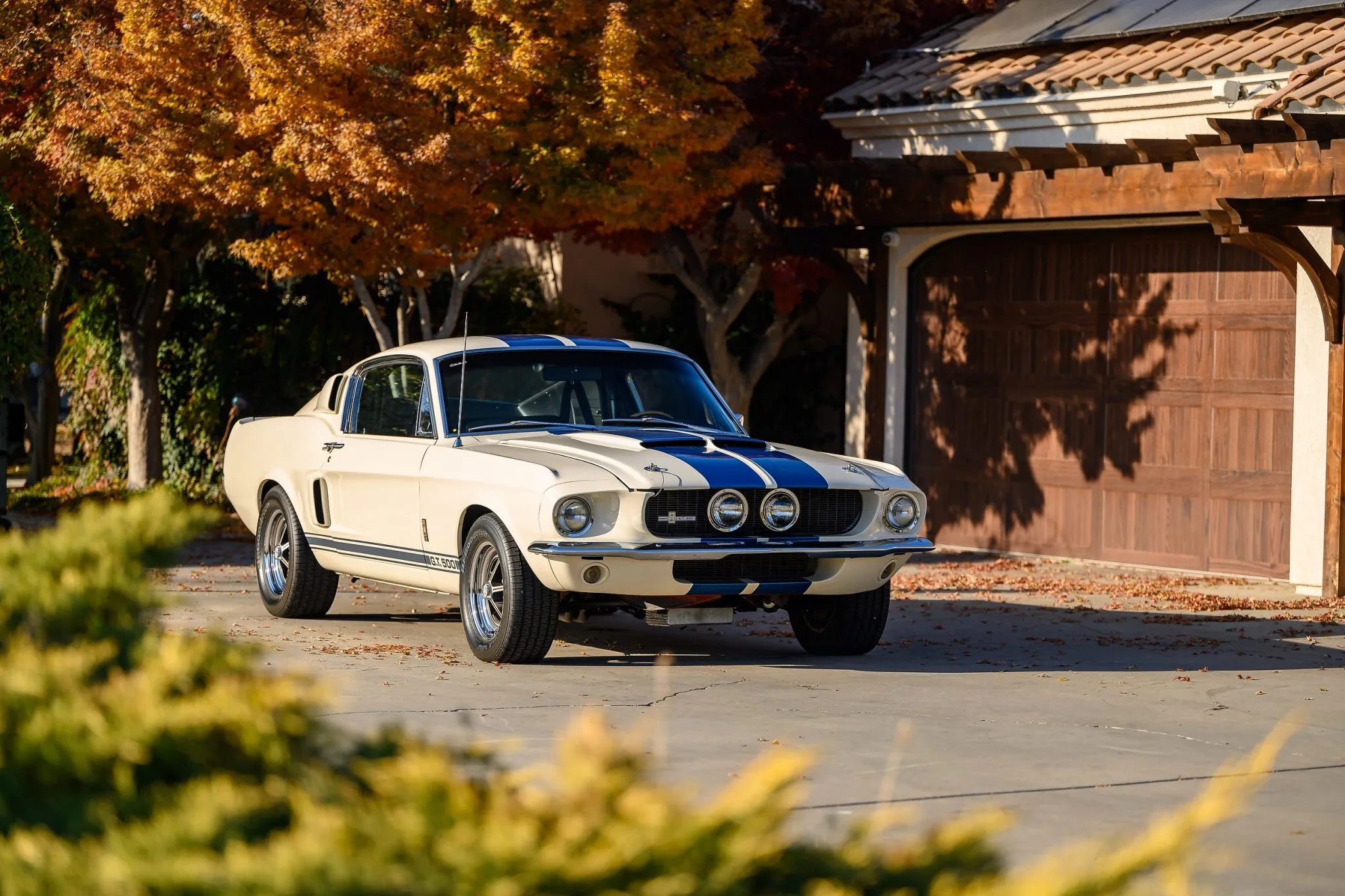 1967 Shelby Mustang GT500