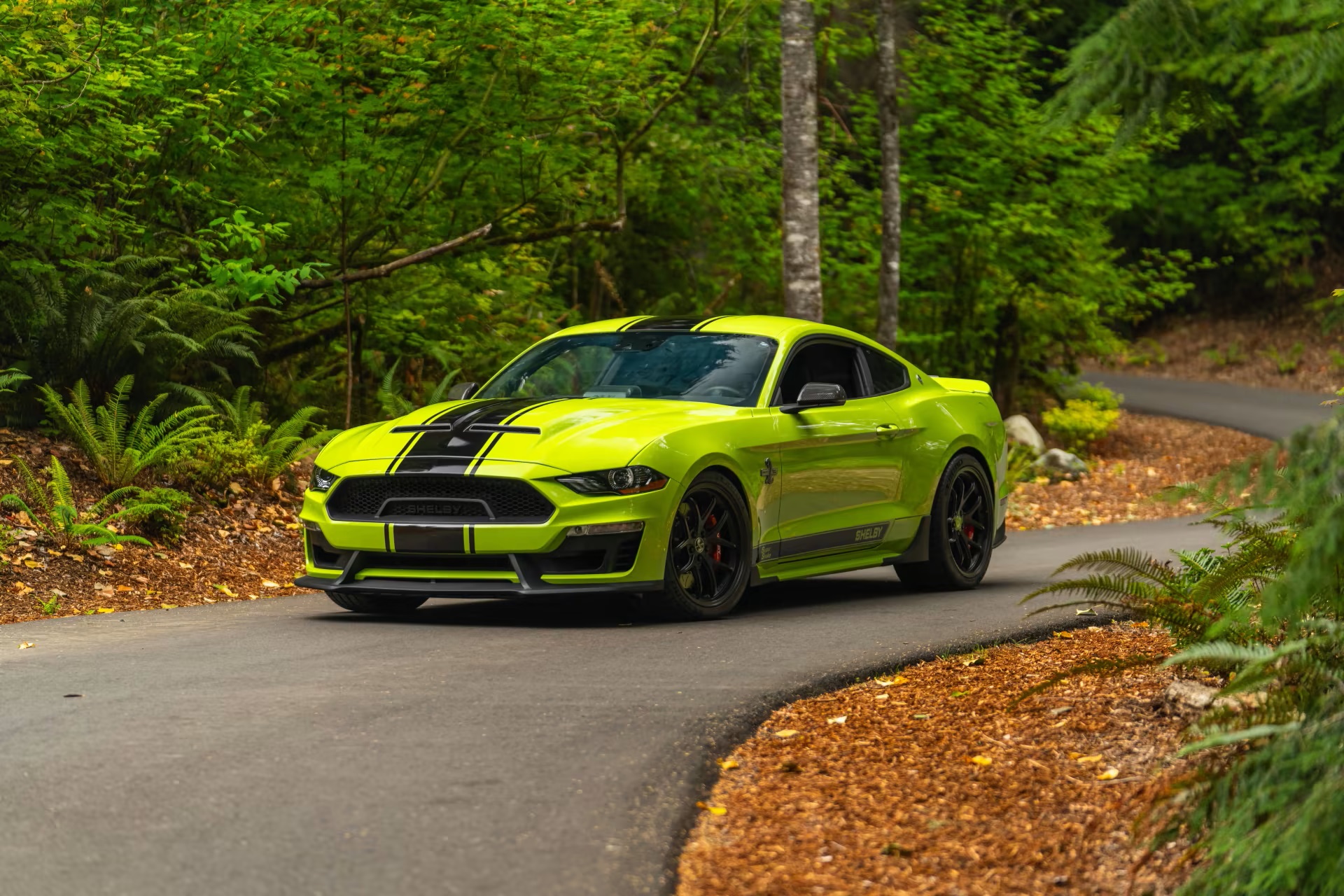 2020 Ford Shelby Super Snake Bold Edition