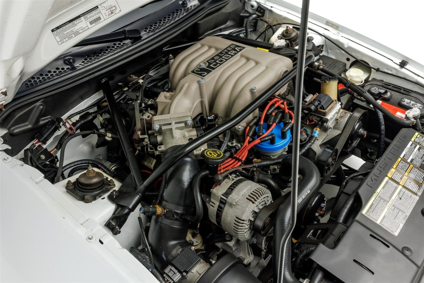 Mustang Of The Day: 1995 Ford Mustang SVT Cobra R - Mustang Specs