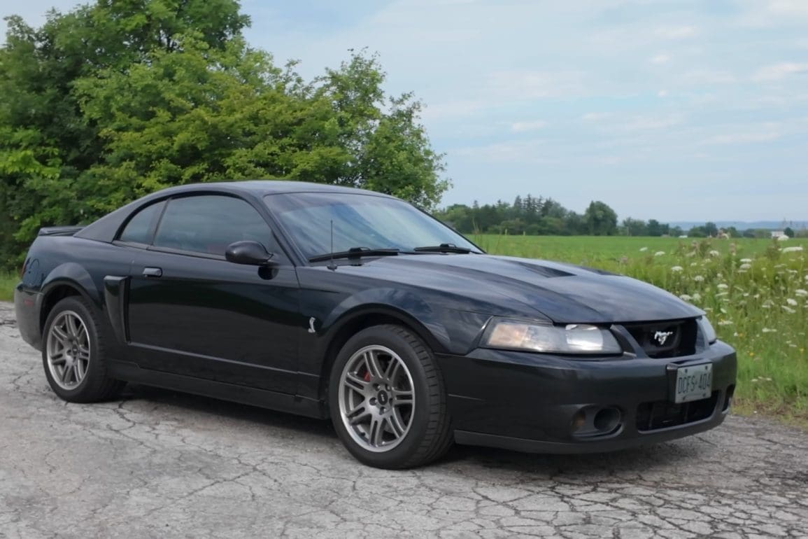 Cobra Mustangs: History, Models & More