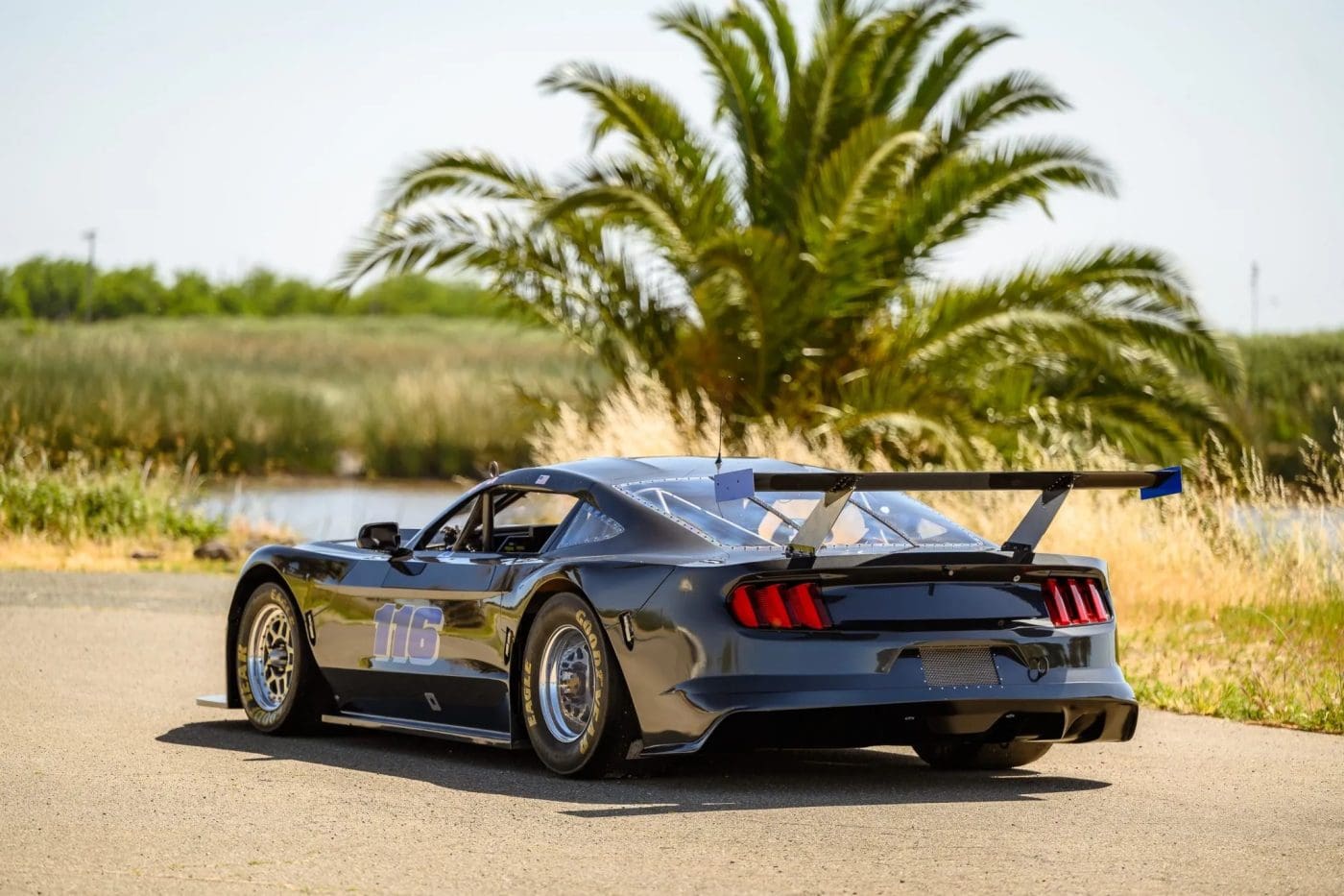 Trans Am Racing Mustangs Mustang Of The Day: 2018 Ford Mustang Trans Am Race Car - Mustang Specs