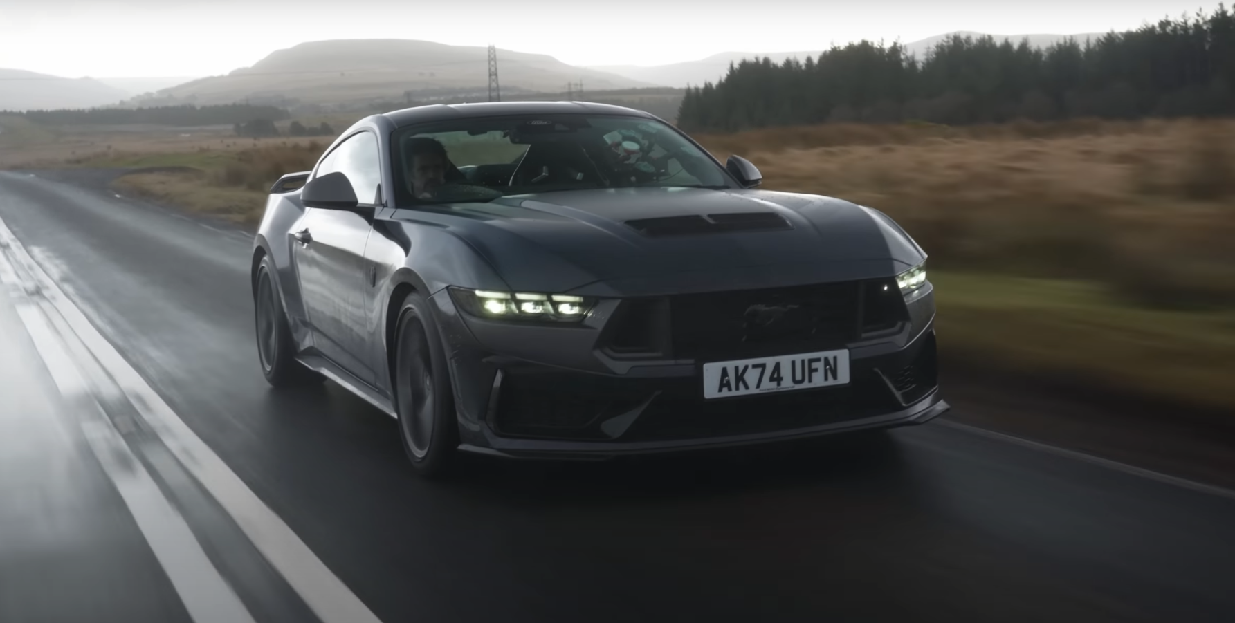 Mustang