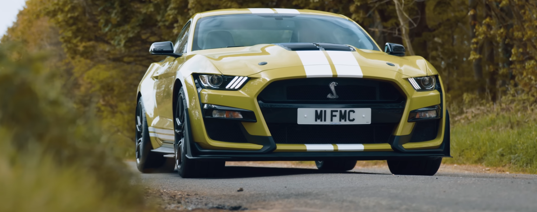 Shelby GT500