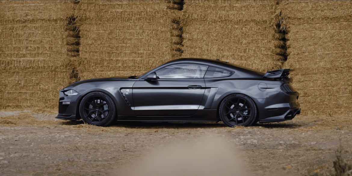 Mustang