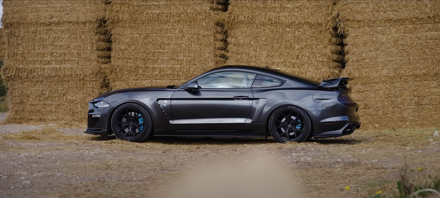 Mustang