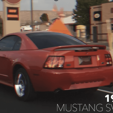 Mustangs