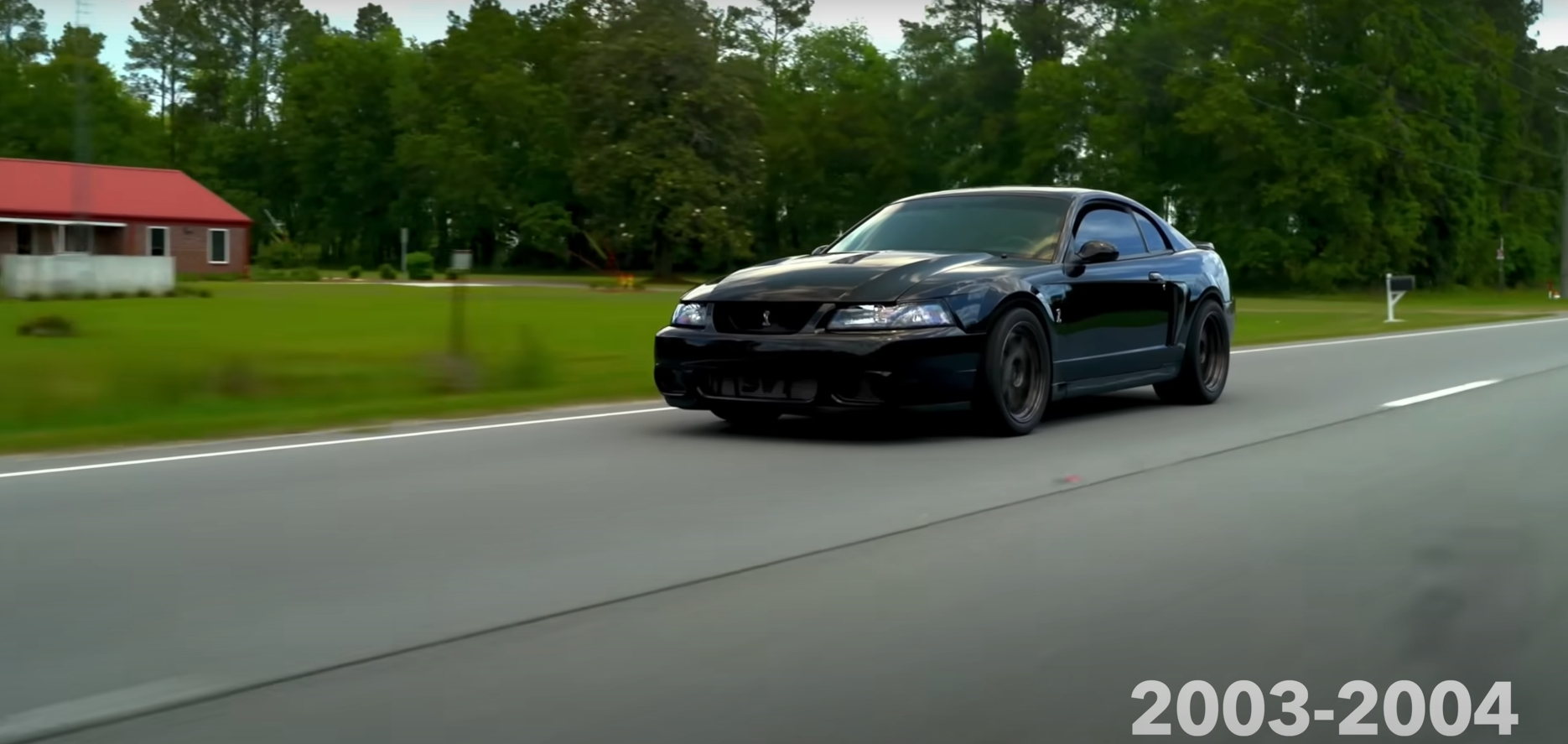 Mustangs