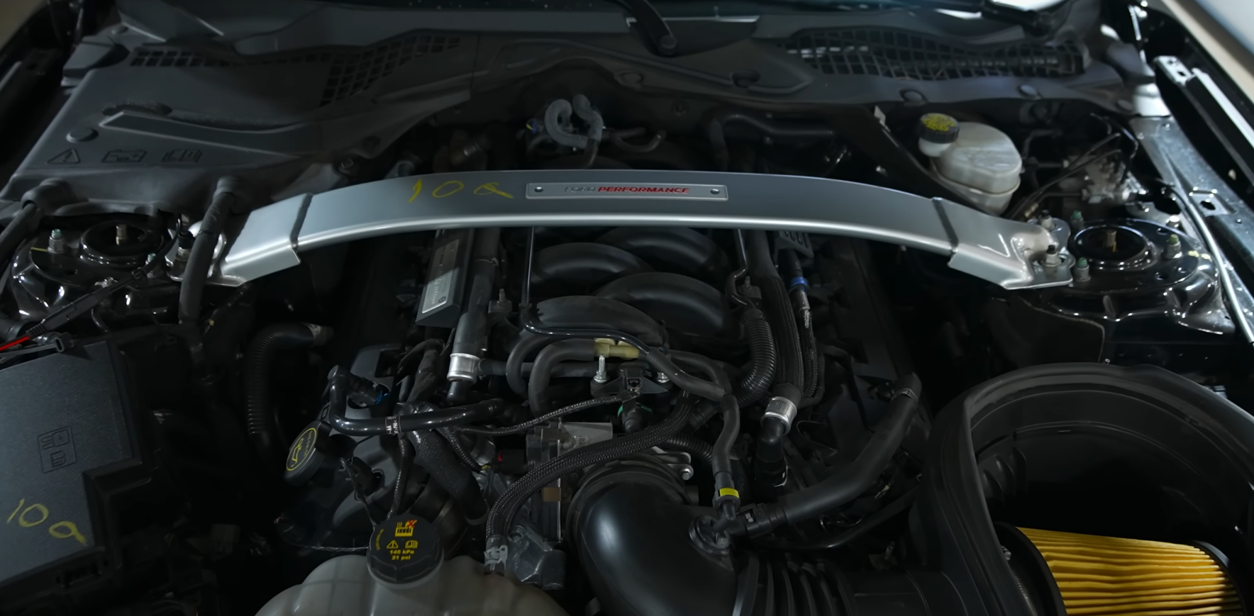 Mustang Motor