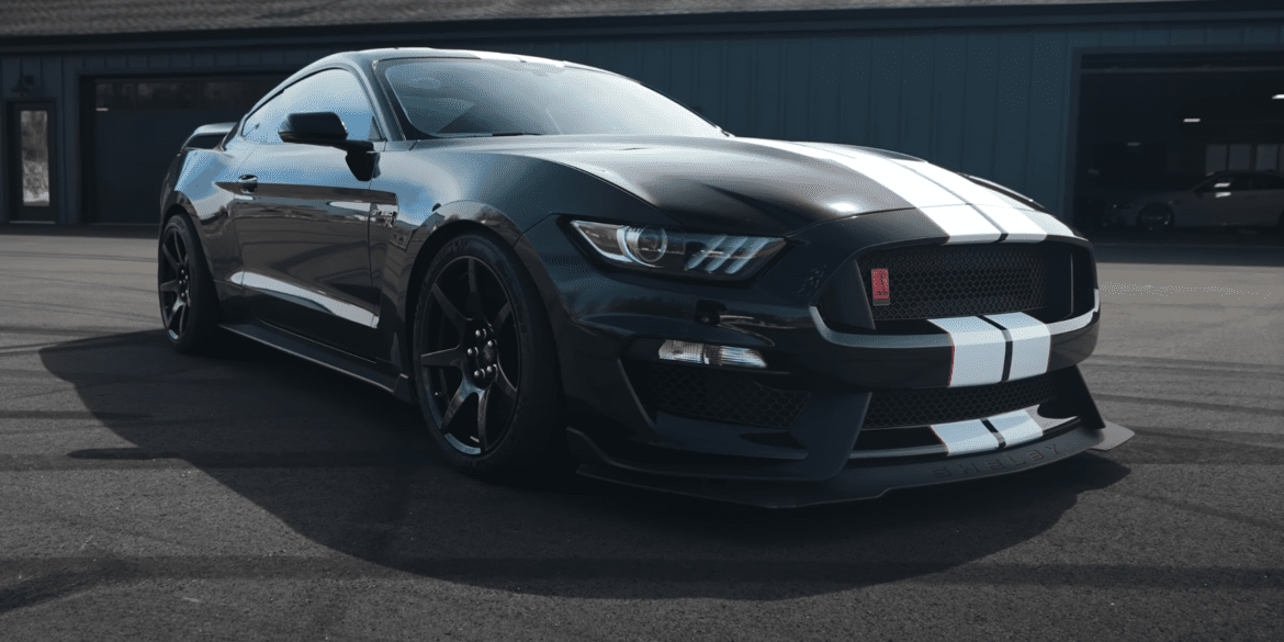 Mustang