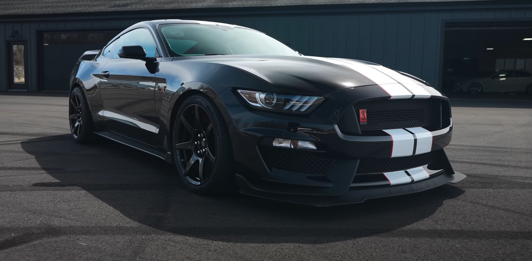 Mustang