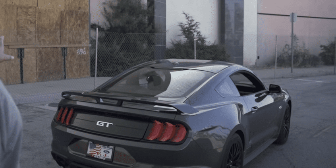 Mustang